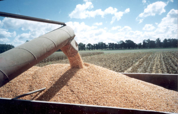 190906192522-e1567808813860