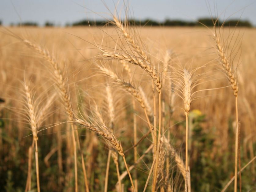 5b00d49e08df2_837_627