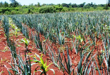 5c0a4b2a59ec7_440_300