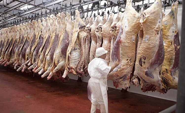 Carnes: caídas en faena bovina y producción récord en porcinos y pollos -  Ruralnet