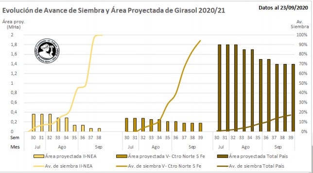 La siembra de girasol registró un proceso intersemanal de 1,7 puntos  porcentuales, concentrado en el centro del área agrícola - Ruralnet