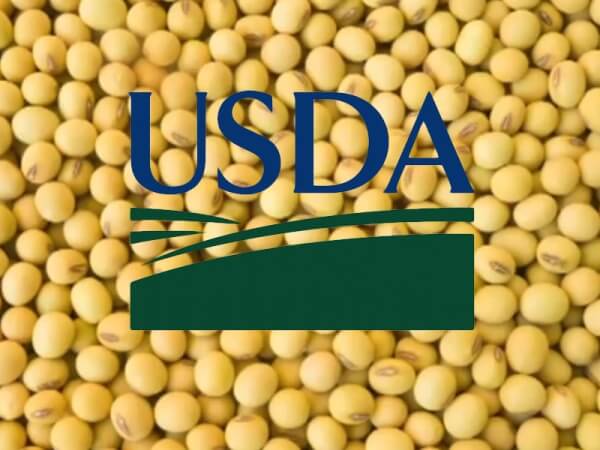 El informe del USDA no mostró variantes en la producción de granos -  Agritotal