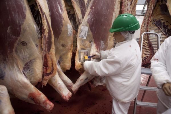 frigorifico_faena_4-e1565121328850