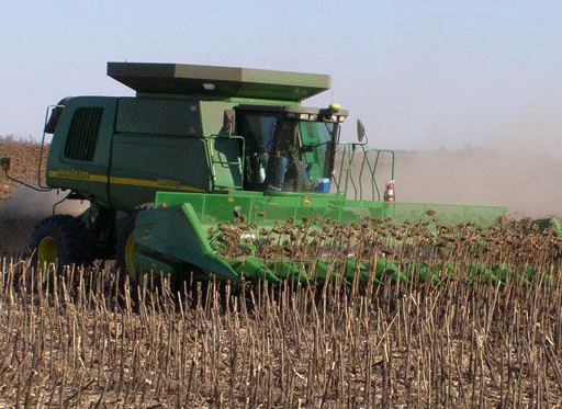 La cosecha de girasol mantiene su tendencia de producción que alcanza casi  los 4 millones de toneladas - Ruralnet