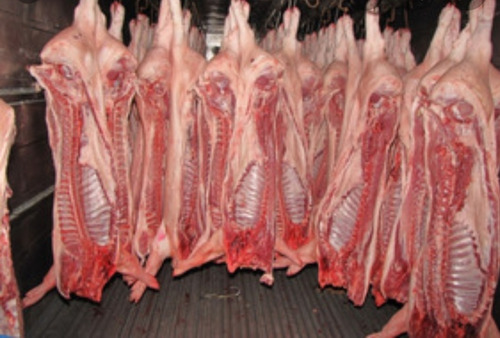 res-cerdo