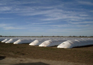 Tanto en silos como en silobolsas, la humedad es la eterna enemiga del guardado de los granos.