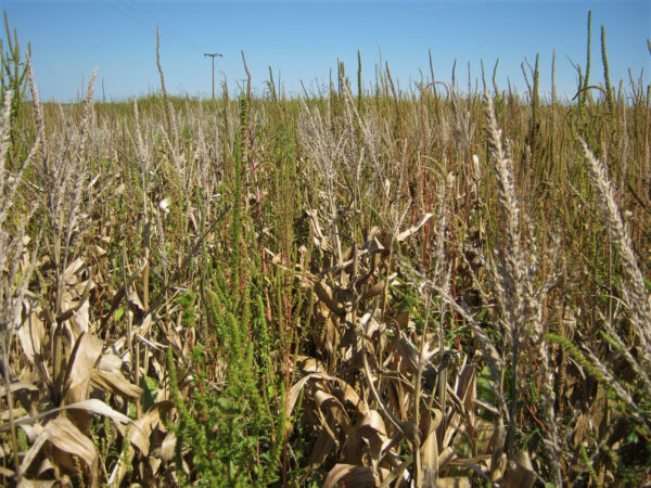 unnamed-4-e1614776219757