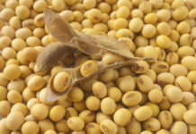 Nuevos vínculos de intercambio que promueven el crecimiento conjunto