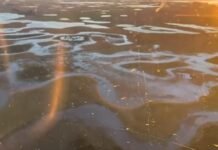 Emergencia agropecuaria: Carbap reclama que se alivien más impuestos y no solo el Inmobiliario Rural