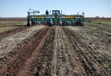 Campaña agrícola 2025/26: financiamiento en dólares predomina con tasas entre 8,5% y 12,5%