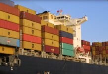 Nuevo mercado para Argentina: Chile habilita la importación de vísceras y subproductos animales