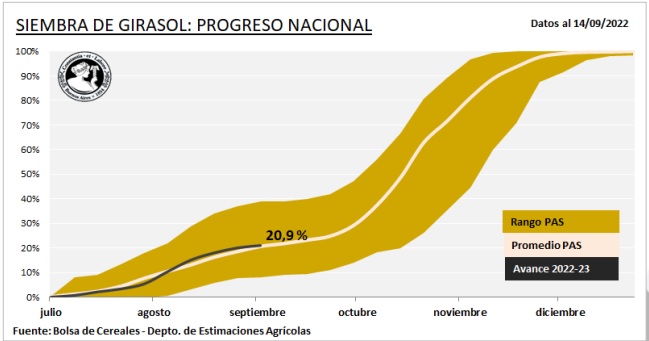 Girasol: la falta de humedad en los pisos demora el ingreso de las  sembradoras | Sembrando Noticias