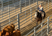 Cierre del mercado de hacienda el 21 de enero