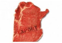 “El primer embarque argentino de carne vacuna libre de deforestación para la Unión Europea”