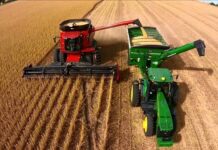 La cosecha de soja avanza con buenos rindes