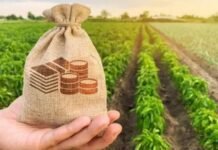 Los impuestos se llevan el 56,3% de la renta agrícola pese a la baja de retenciones