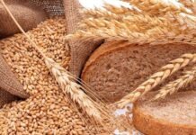 Trigo récord, calidad en jaque: solo el 3,5% del grano sirve para panificación