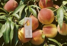 BASF expuso sus soluciones en manejo integral de plagas en frutales para respaldar la transformación de sector