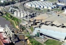 Argentina rompió su propio techo exportador: 2025 cerró con uno de los mayores volúmenes de embarques agroindustriales de la historia