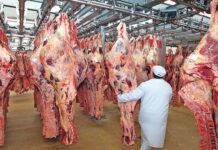Sin prórroga para las retenciones cero: el sector cárnico advierte por pérdida de previsibilidad