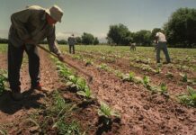El Gobierno acelera el envío al Congreso del proyecto de Ley de Promoción de Inversiones y Empleo