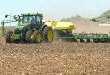 Comenzó la siembra de soja 2025/26