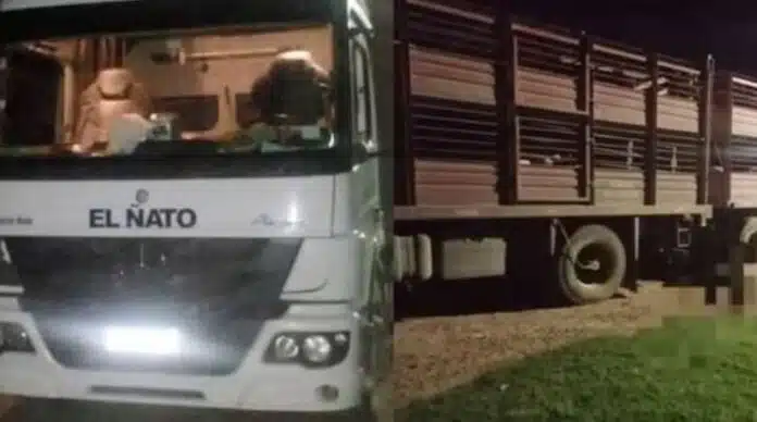 trágico accidente