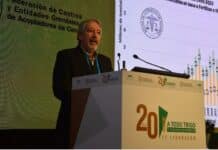 ¿Cuáles son los nuevos horizontes de la producción del trigo?