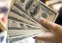 El Gobierno apuesta a la calma cambiaria: sin cambios inmediatos, pero con el dólar cada vez más libre