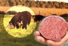 Autorizan la venta de carne cultivada en un país europeo