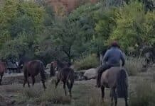 La UATRE hace un llamado urgente para sostener la compatibilidad entre el trabajo temporario y los planes sociales en el sector rural