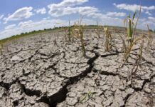 La “Niña” se confirma leve y corta, pero las lluvias mantienen alta dinámica sobre el país