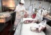 🔴 Carne argentina a EE.UU.: cómo se repartió el cupo 2026 y qué frigoríficos concentran la mayor parte