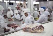 Enero cerró con subas históricas en la hacienda y anticipa presión sobre el precio de la carne