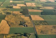 El campo argentino vale lo mismo que hace 14 años: alertan por el atraso frente a Brasil, Uruguay y Paraguay