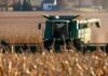 Avanza la cosecha de maíz con rindes de hasta 99 qq/Ha, pero las lluvias vuelven a frenar el ritmo