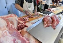 Carne sube 70,8% en un año y anticipan otro 10–15% hasta marzo por menor faena y retención