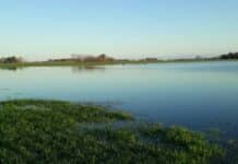 ARCA lanzó alivio impositivo para productores afectados por las inundaciones