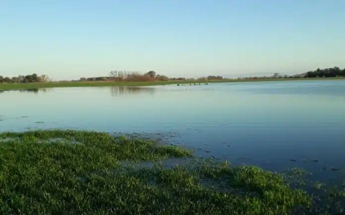 inundaciones zona nucleo
