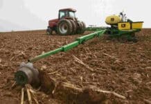 La siembra de maíz 2025/26 alcanzó el 35% del área nacional, con buenos signos en el centro agrícola