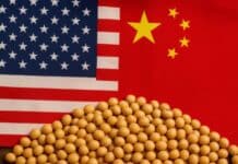 🌱 La tregua entre China y EE.UU. sacude al mercado: la soja toca su precio más alto en cuatro meses, pero el impulso sería corto