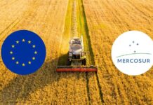 La Unión Europea impulsa una salvaguardia agrícola que contradice el espíritu del acuerdo con el Mercosur
