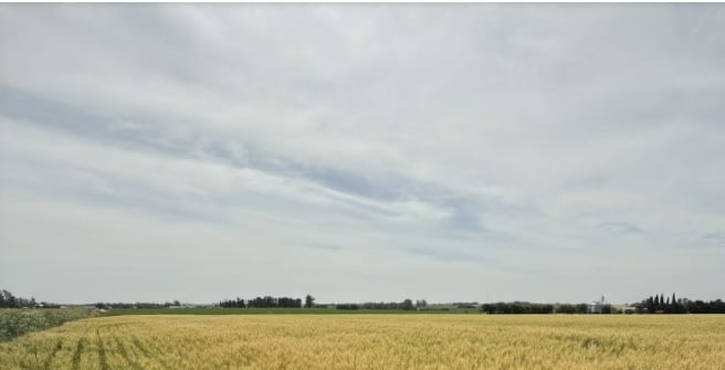 Perspectivas económicas