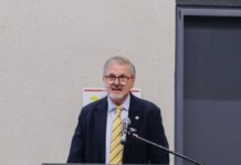 Remataron el primer lote de trigo 2025/26: optimismo por una campaña que podría marcar récord de producción