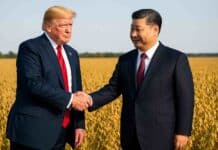 Tregua comercial: el pacto entre Trump y Xi devuelve a China como comprador de soja estadounidense
