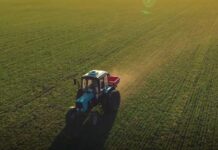 Mosaic Biosciences: la sinergia entre nutrientes y biológicos para una nutrición avanzada de cultivos