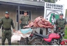 Tres detenidos por el robo y faena clandestina de doce ovejas