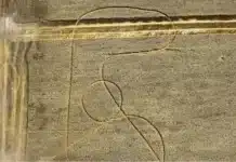 Intriga: aparece un misterioso dibujo en un lote de trigo y nadie logra explicar qué lo causó