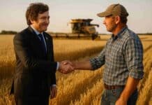 Optimismo en el campo tras el triunfo de Milei: “Ahora hay más chances de construir acuerdos y discutir en serio las reformas”