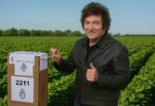 Milei barrió en el interior: el voto rural le dio más del 60% en los principales distritos del agro